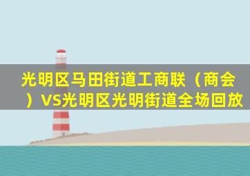 光明区马田街道工商联（商会）VS光明区光明街道全场回放