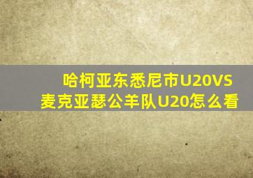 哈柯亚东悉尼市U20VS麦克亚瑟公羊队U20怎么看