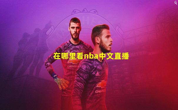 在哪里看nba中文直播