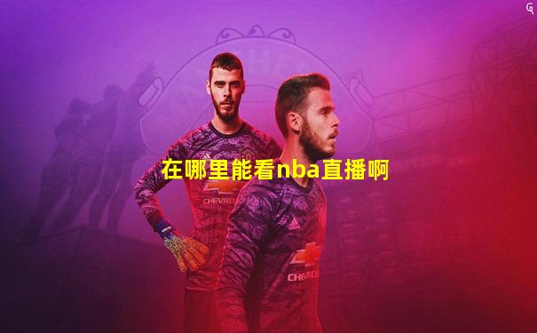 在哪里能看nba直播啊