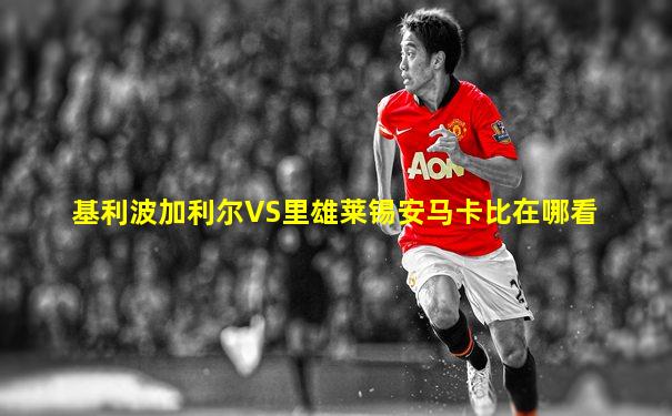 基利波加利尔VS里雄莱锡安马卡比在哪看