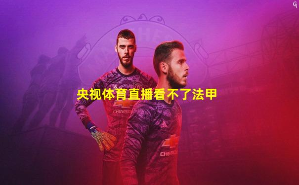 央视体育直播看不了法甲