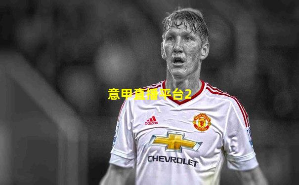 意甲直播平台2