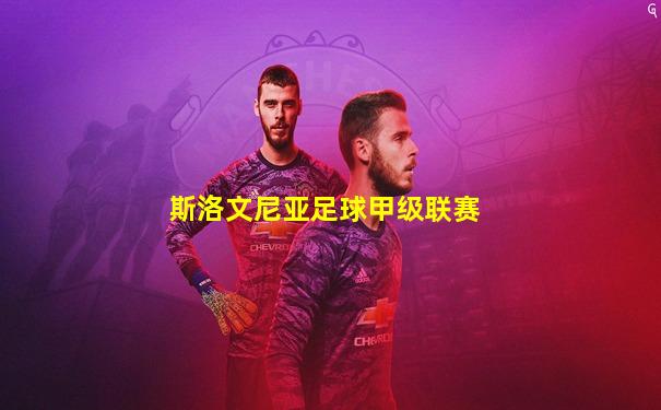 斯洛文尼亚足球甲级联赛