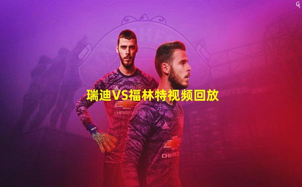 瑞迪VS福林特视频回放